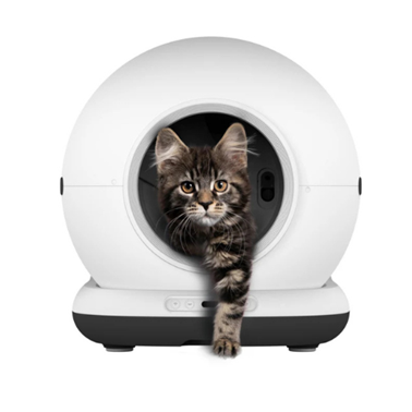 Autom. kattenbak Grijze kat steekt haar voorpoot uit een witte, ronde kattenbak.